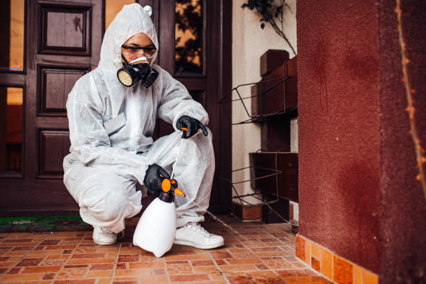 Reliable Ant Control contractor in Cinco Ranch, TX by Show Me Pest Control